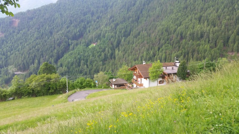 photo27.jpg