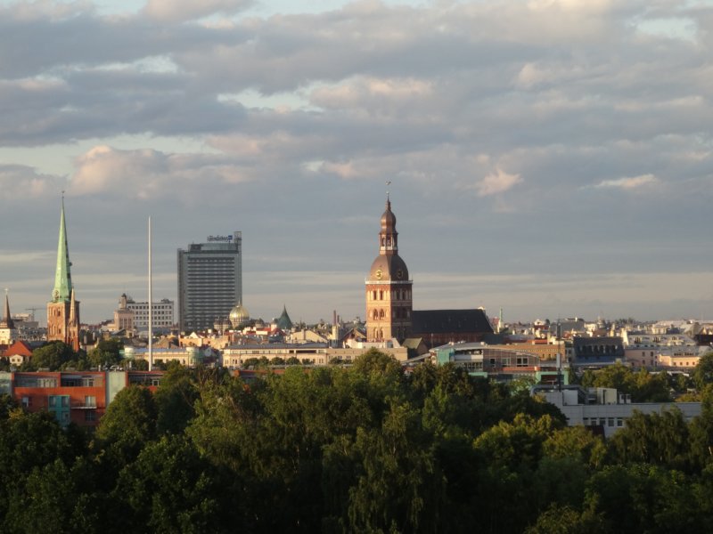 dsc00091.jpg
