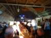 dsc00147_small.jpg