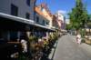 dsc04932_small.jpg