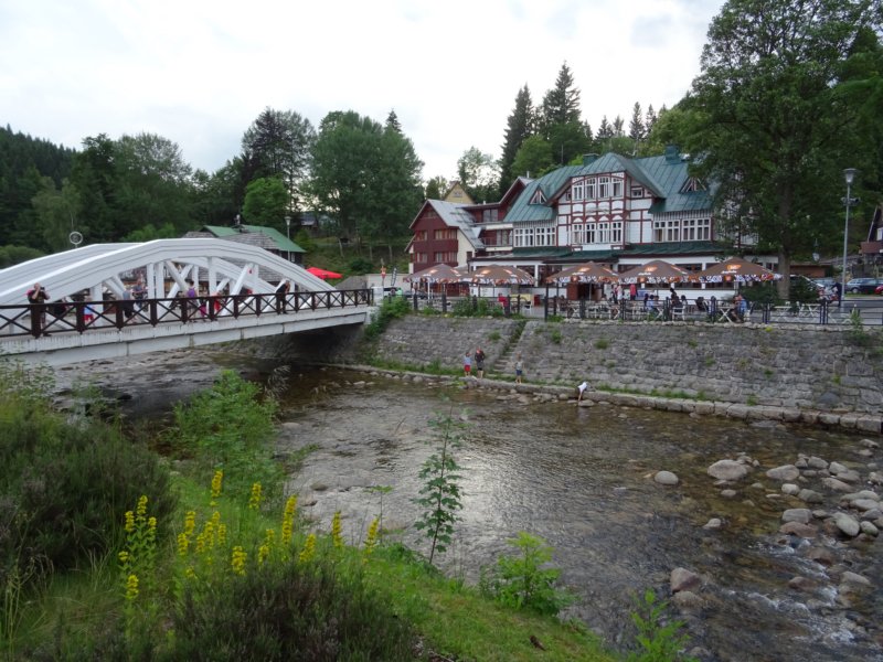 dsc00835.jpg
