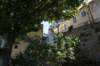 dsc01976_small.jpg