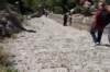 dsc01994_small.jpg