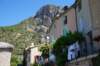 dsc02008_small.jpg