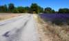 dsc02009_small.jpg