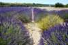 dsc02012_small.jpg