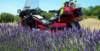 dsc02015_small.jpg