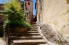 dsc02036_small.jpg