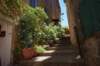 dsc02038_small.jpg