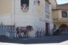 dsc02041_small.jpg