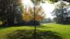 dscf5621_small.jpg