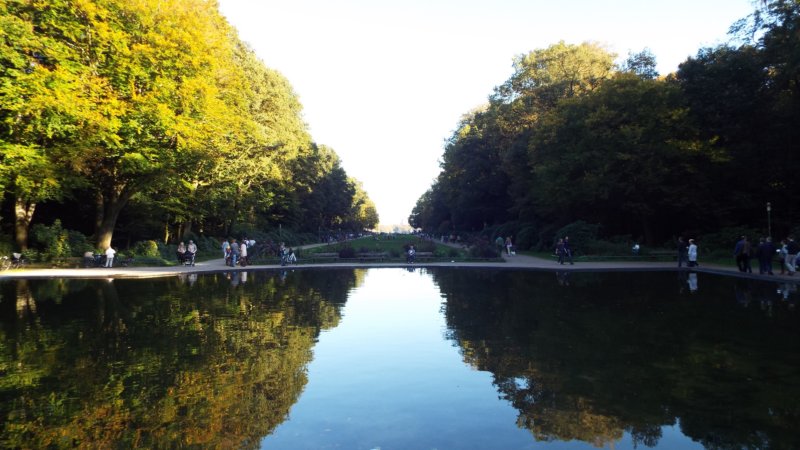 dscf5650.jpg