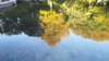 dscf5652_small.jpg