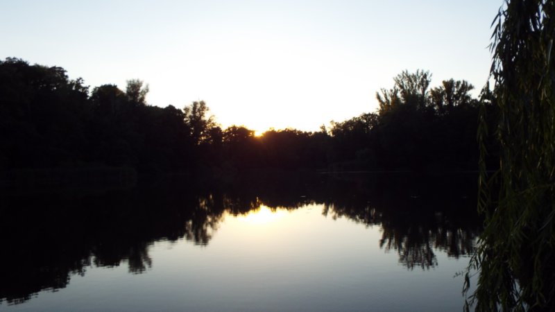 dscf6468.jpg