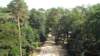 dscf6485_small.jpg