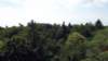 dscf6490_small.jpg