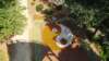 dscf6493_small.jpg