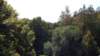 dscf6496_small.jpg
