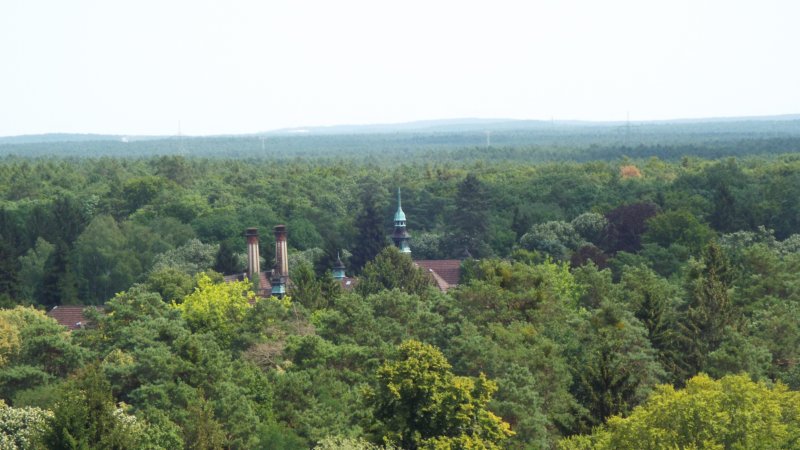 dscf6506.jpg