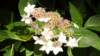dscf6509_small.jpg