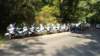 dscf6555_small.jpg