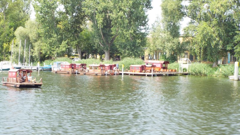 dscf6576.jpg