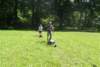 dsc03371_small.jpg