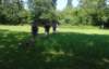 dsc03389_small.jpg