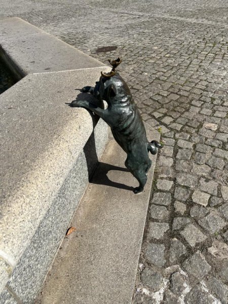 photo49.jpg