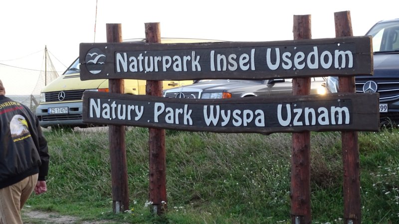 photo3.jpg