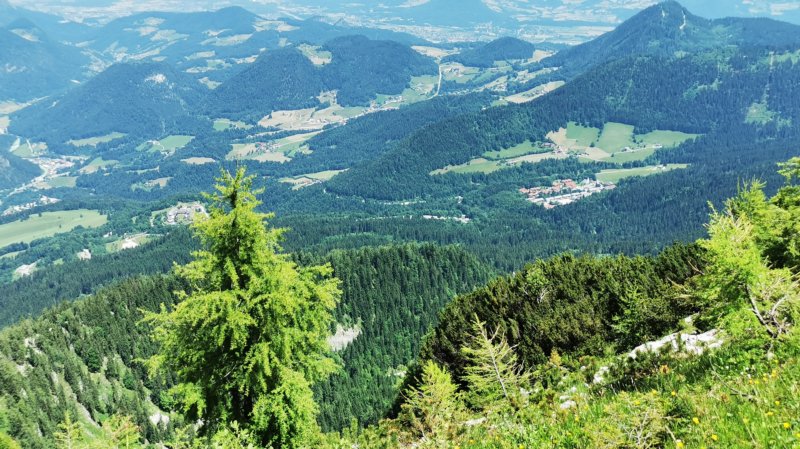 photo24.jpg