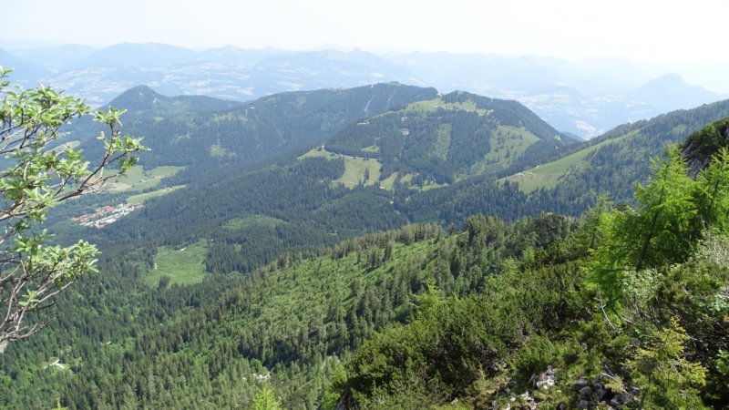 photo34.jpg