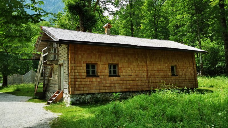 photo27.jpg