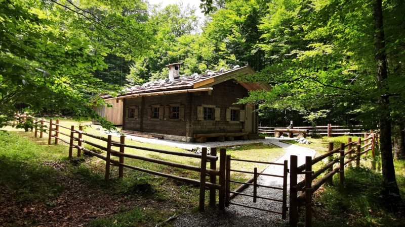 photo43.jpg