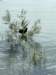 photo12_small.jpg