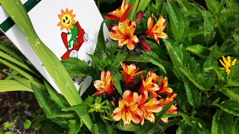 photo49.jpg