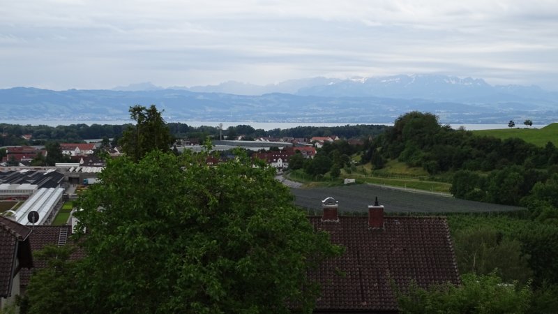 photo13.jpg