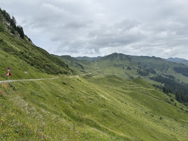 photo21.jpg